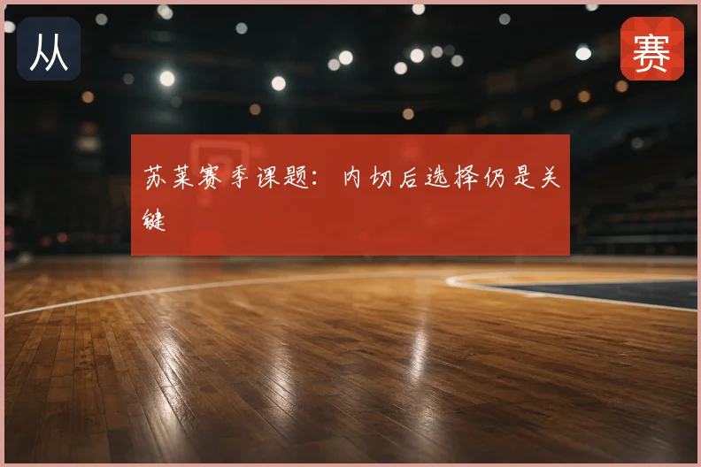 苏莱赛季课题:内切后选择仍是关键