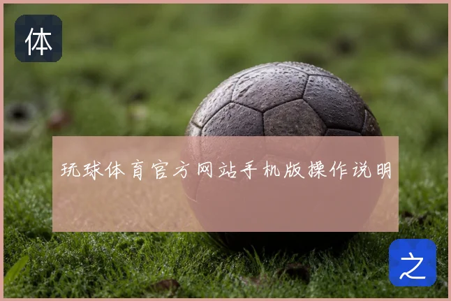 玩球体育官方网站手机版操作说明